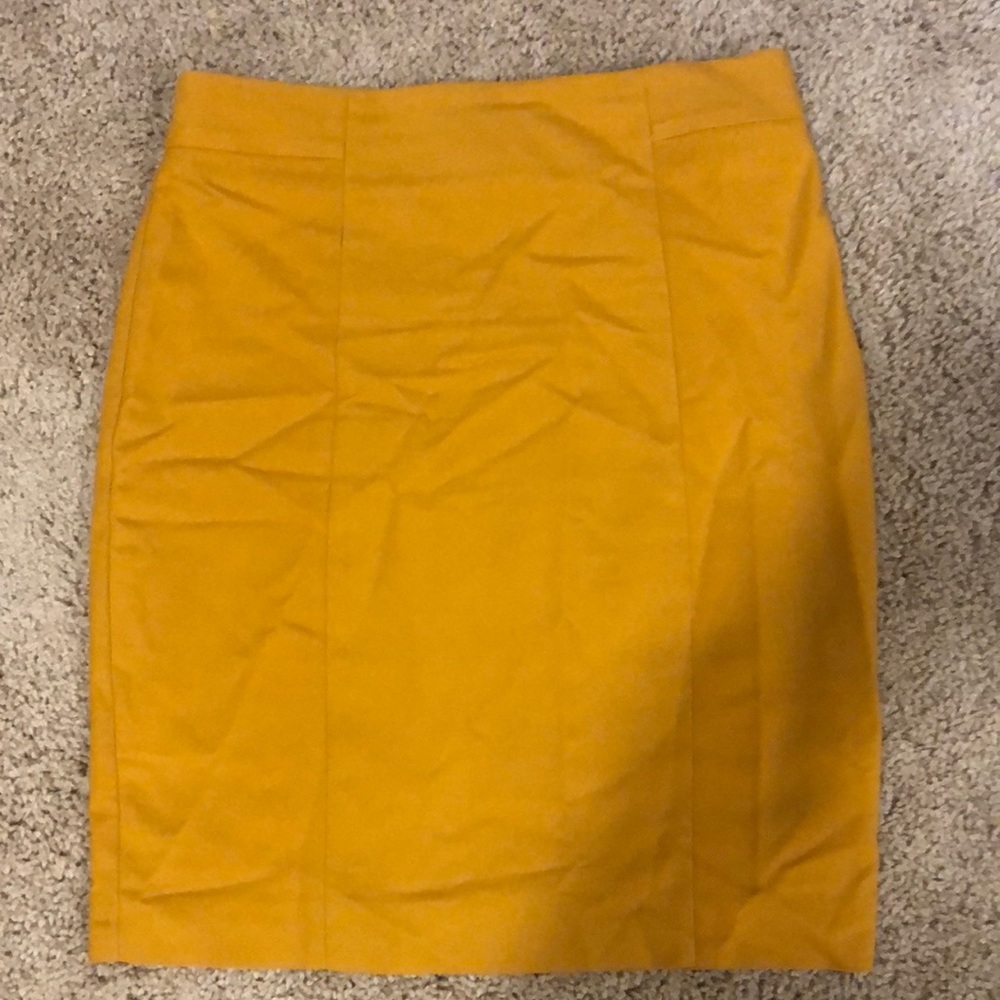Skirt - Dressy